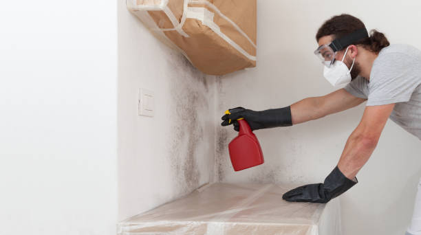 Professional Crawl Space Mold Removal technician working in Milton, NY