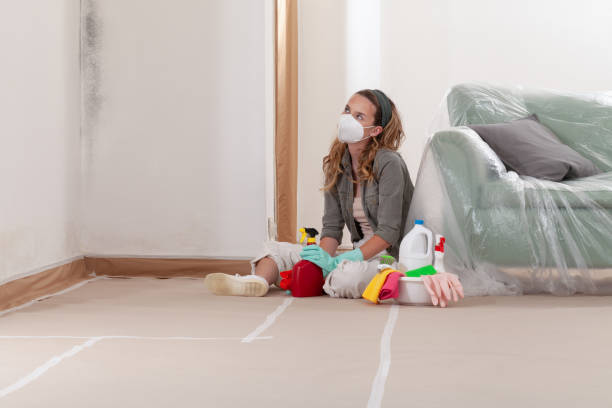 Reliable Crawl Space Mold Removal contractor in Milton, NY by WQB Mold Removal